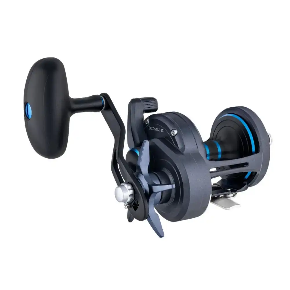 Daiwa Saltsist SD Reel