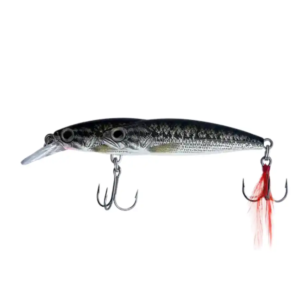 FM Ripfin