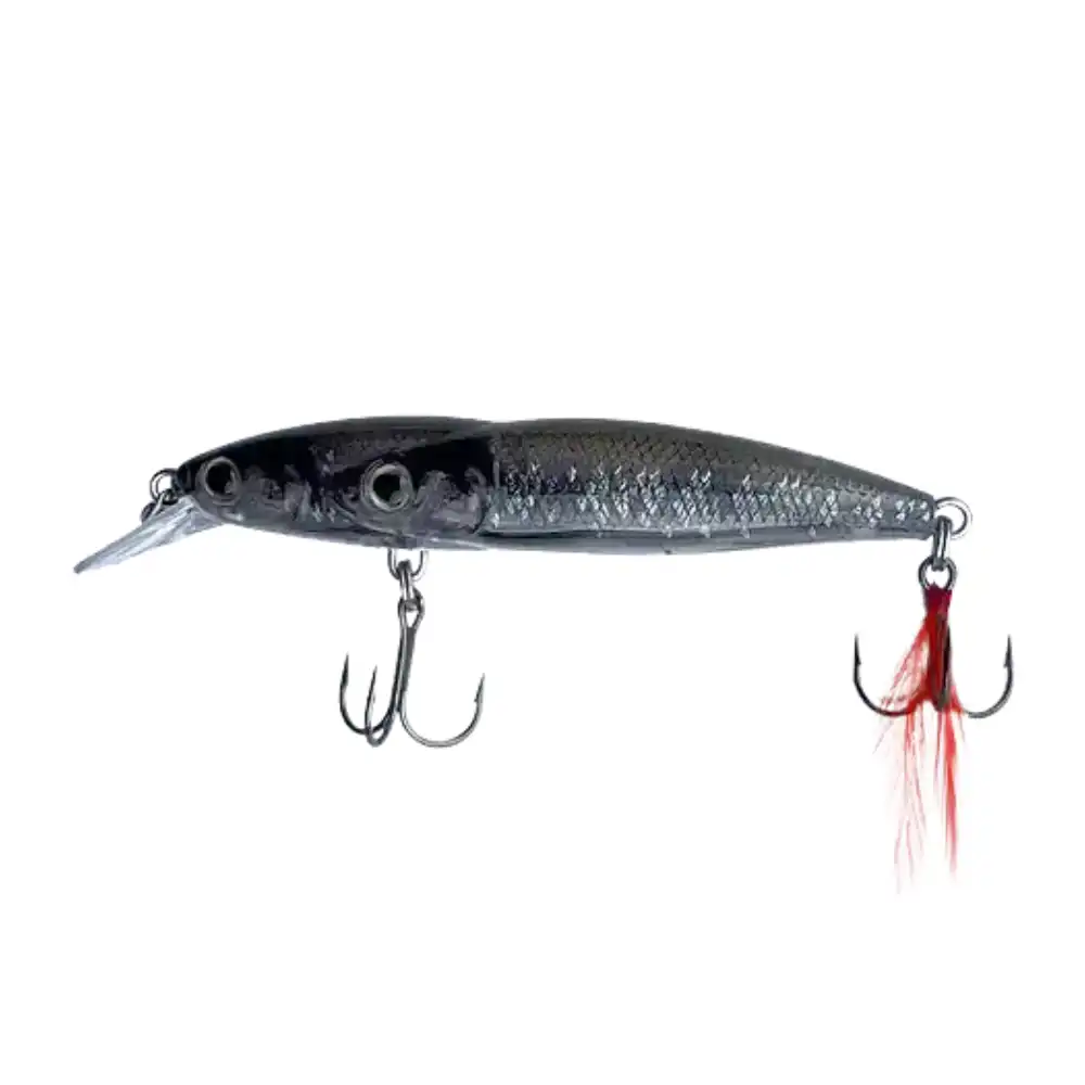 FM Ripfin