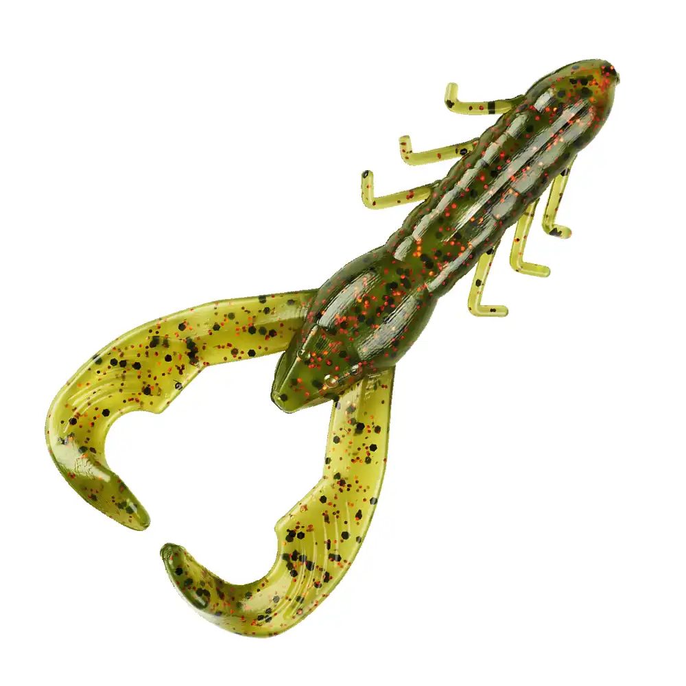 Christie Craw